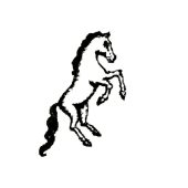 The Kardinal Cavallo di Mamma